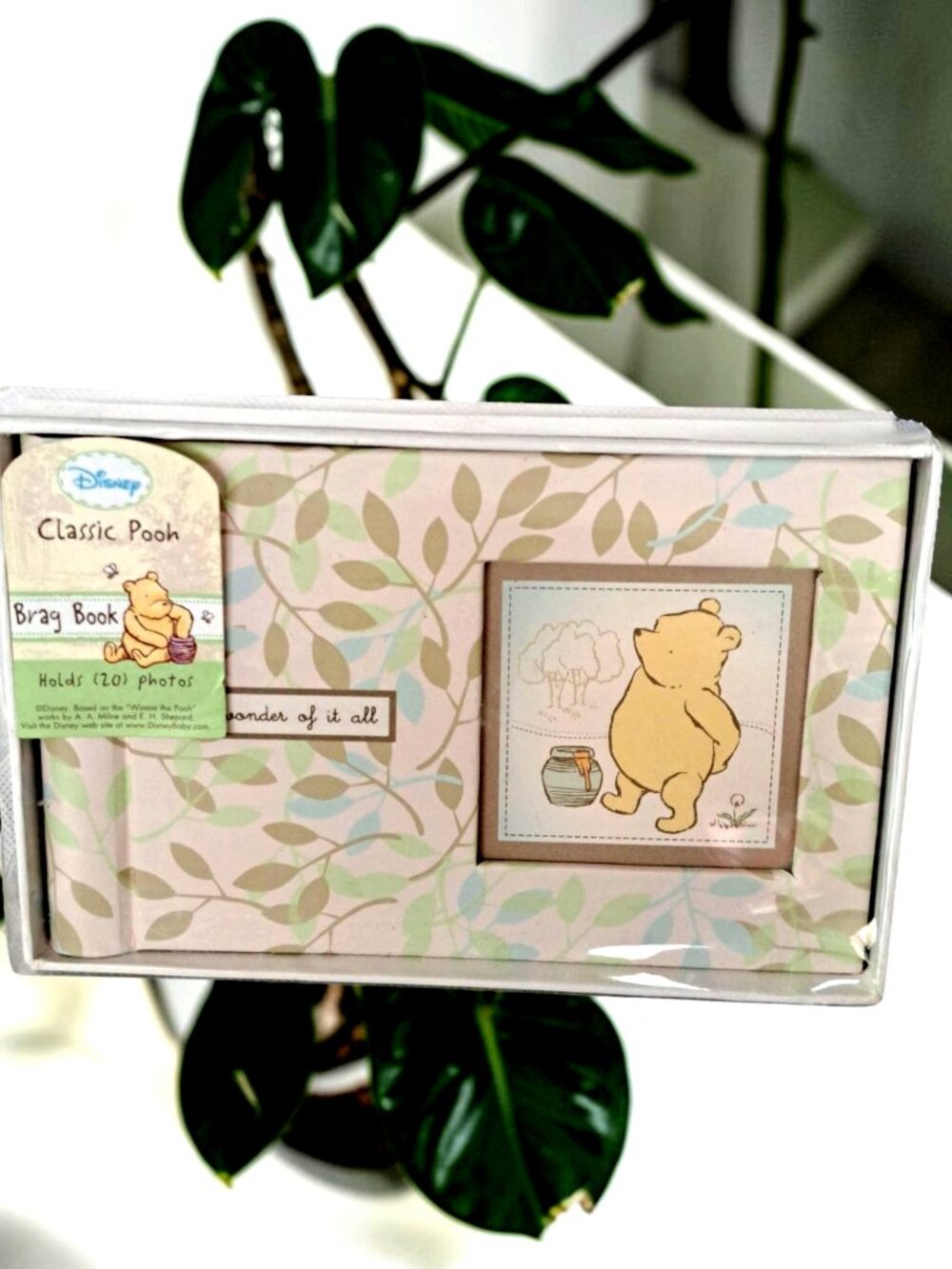Disney Winnie The Pooh Grandma's Brag Book Photo Album holds 20 Photos Classic